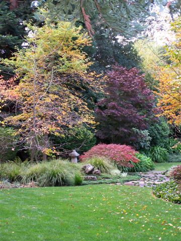 Green lawn edged by trees and shrubs with red and golden foliage.